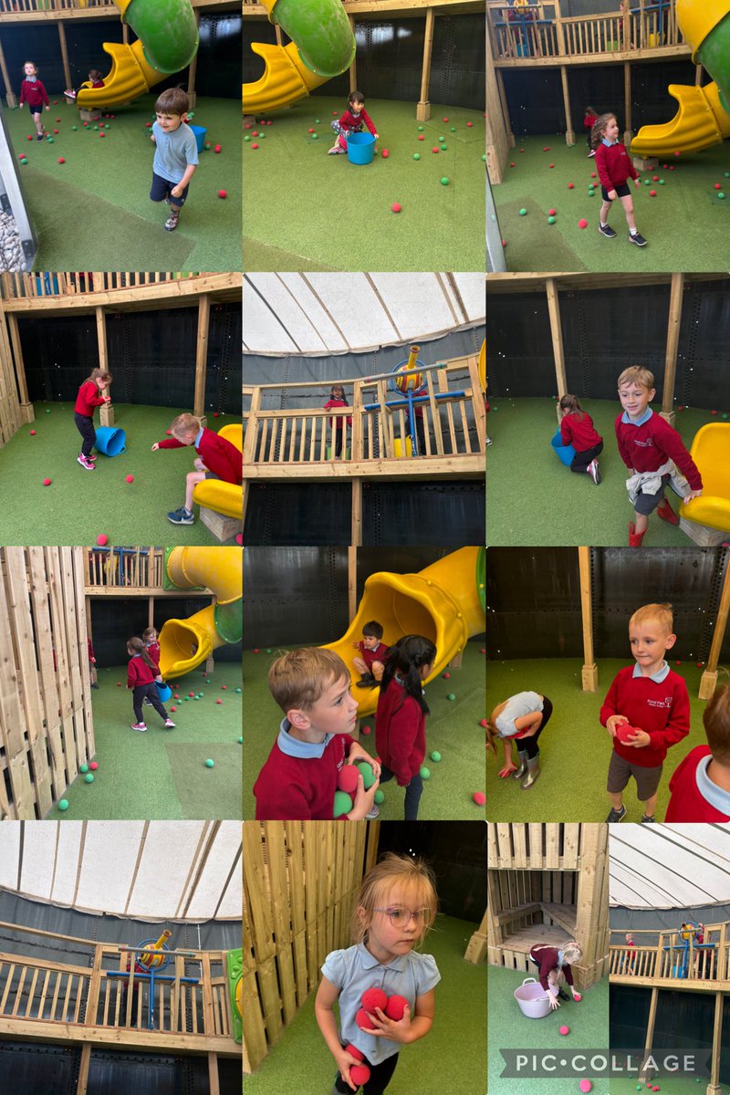 pondparkp1's tweet photo. P1H had a brilliant time today on our school trip! Amazing weather, brilliant fun and wonderful friends❤️ Thank you Streamvale farm! 🥳 https://t.co/KWVIAcUyJU