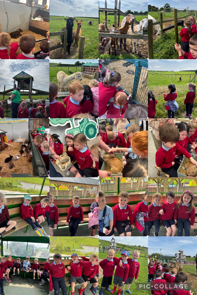 pondparkp1's tweet photo. P1H had a brilliant time today on our school trip! Amazing weather, brilliant fun and wonderful friends❤️ Thank you Streamvale farm! 🥳 https://t.co/KWVIAcUyJU