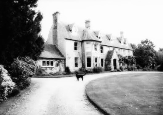 Kithurst_Close's tweet image. youtu.be/O3Bs7Cx98qU?si…
#PageAndPlant  🎶  #Didgeridoo 🎶  #LiveVersion 📺