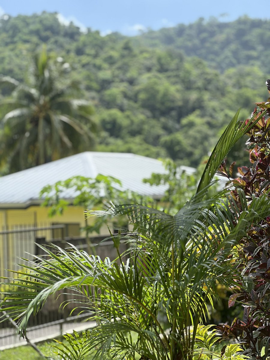 abaluke's tweet image. Understand just how blessed you are. Complain less. #word #nature #caribbean #life