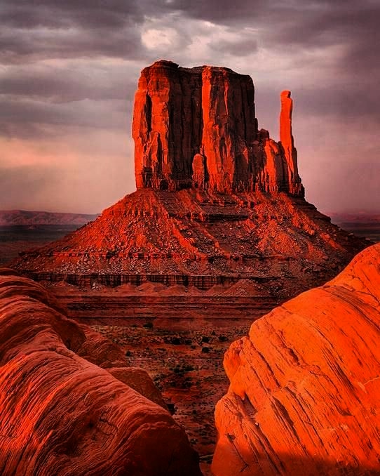 Curiosa-mente (@openmente2) on Twitter photo 