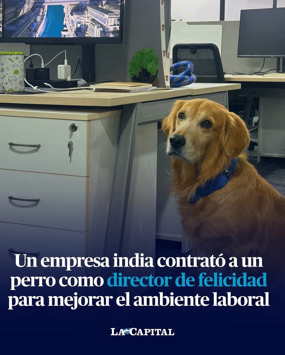 Lomitos Suavecitos (@suaveslomitos) on Twitter photo 