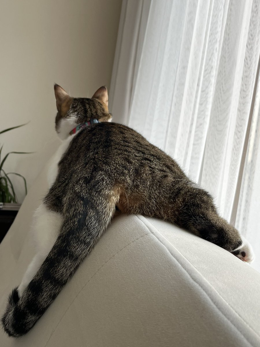 Bu nasıl bir stil annecim 😂¿