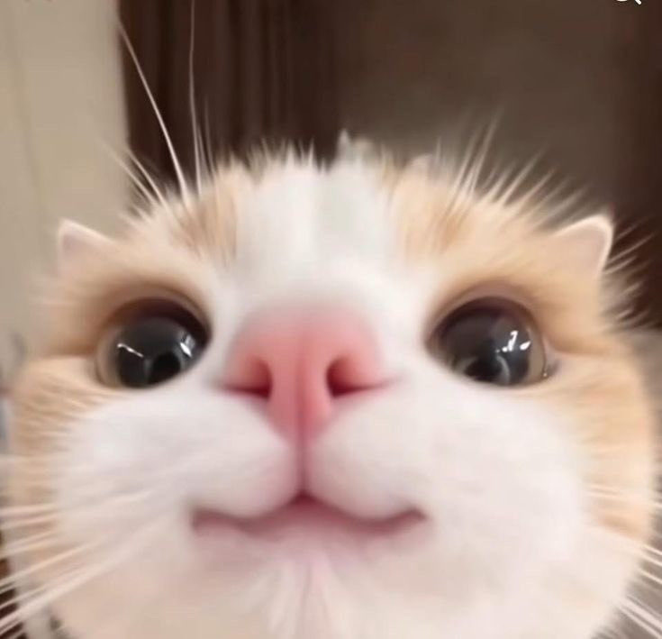 ᴊᴇꜰꜰʀᴇʏ ᴛ. ʟᴀɴᴅꜱʜᴀʀᴋ 🫧 tweet media