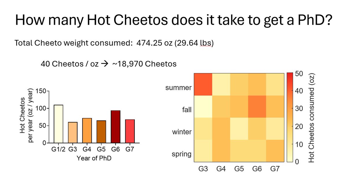 Kelsey Clausing tweet media