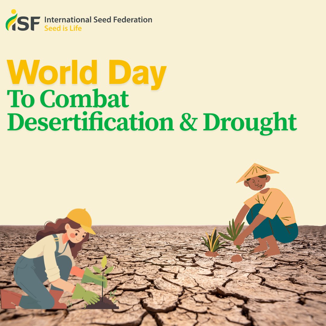 SeedFed's tweet photo. Today is #DesertificationAndDroughtDay

The seed sector supports farmers with improved varieties, sustainable practices &amp; innovations that help restore soil health and manage scarce resources.

👉 Learn more: https://t.co/5ZJOUIEeFU
#SeedIsLife https://t.co/ev2q1vTeA4