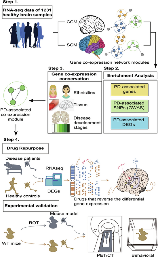 ScienceofPD's tweet photo. Interesting - researchers present integrative multi-omics analyses &amp; preclinical model data supporting the repurposing the memory-promoting meclofenoxate hydrochloride as a treatment for #Parkinsons 
https://t.co/eYMAjoYP7A https://t.co/VJHdqLFxip