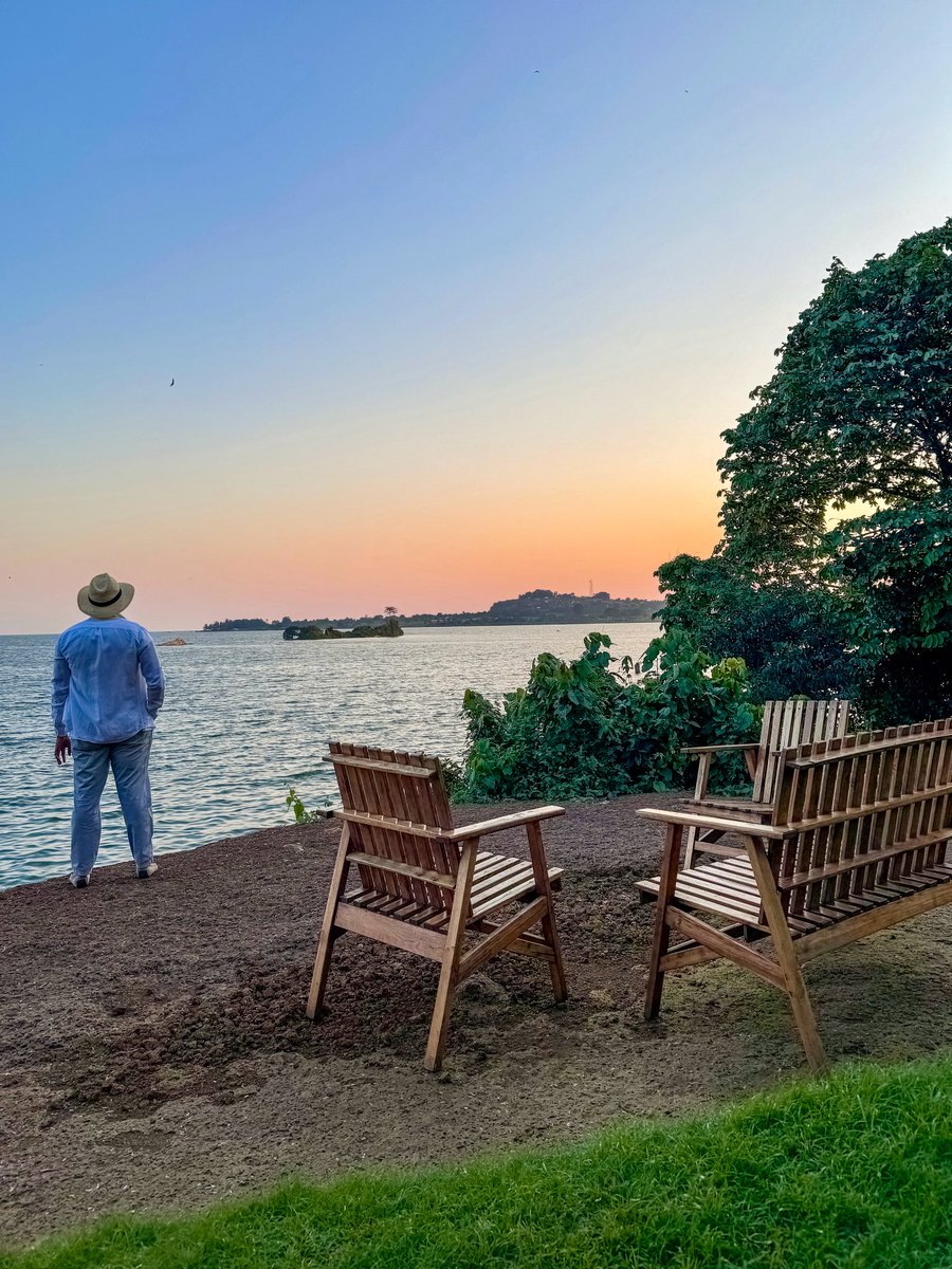 Entebbe Forest Lodge tweet media