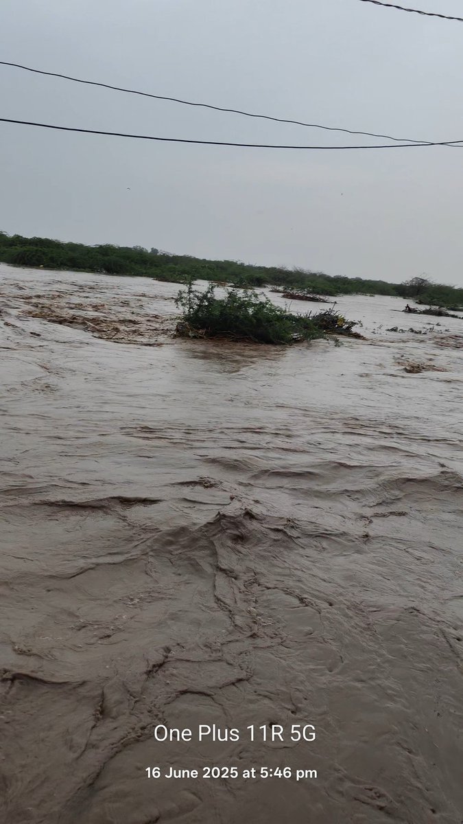 Today’s rain flooded 3–4 villages — water has entered homes. 
All 3 rivers blocked by illegal salt bunds of Laxminarayan Salt.
Mangroves destroyed. Nature warned. We ignored.
Now lives are at risk.
#EnvironmentalCrime #FloodAler 
<a href="/CollectorAmr/">Collector & DM Amreli</a> <a href="/JayantiRavi/">Jayanti Ravi</a> <a href="/CMOGuj/">CMO Gujarat</a> <a href="/PMOIndia/">PMO India</a>