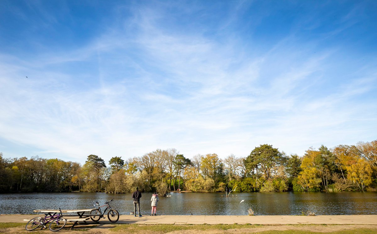 We’ve TEAMED UP with The Forest Bathing Institute to bring introductory walks to California Country Park

You’ll be guided through sensory exercises to develop a deeper connection with nature, before concluding with guided relaxation

More info and tickets wokinghamcountryside.co.uk/events/forest-…