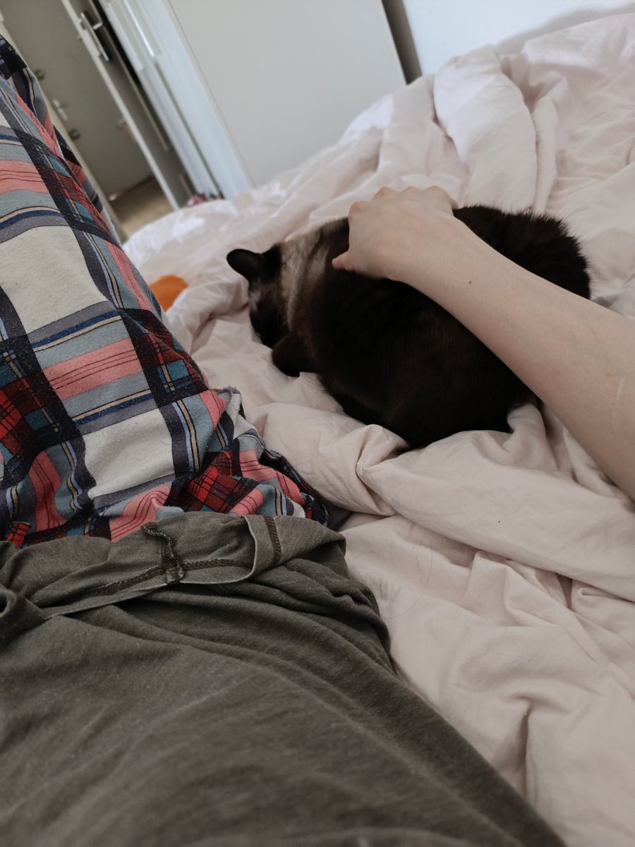 Kitty 🤍 Gacha Addiction Arc 🤍 🔞 🏳️‍🌈 tweet media