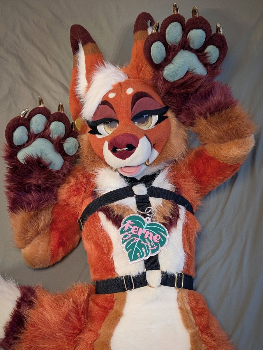 🦊Tummy Rubs Please ~
I don’t bite… much 💝