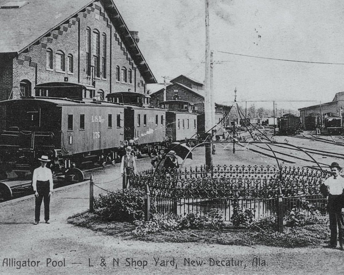 positivelydec's tweet image. Happy Founding Day, Decatur! ✨💙

On June 16, 1820, our city was officially named in honor of naval hero Stephen Decatur. And today, we celebrate 204 years of growth, resilience, and community.

#PositivelyDecatur #DecaturAl #DecaturAlabama #VisitDecaturAl #MyDecaturAl