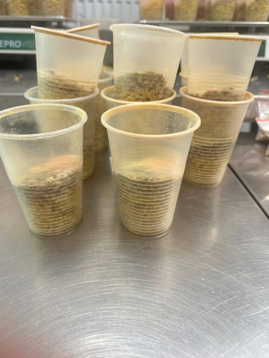 LVKitchen2014's tweet image. Yesterday our volunteer helpers made 1000 soups, and today they doubled it. With Canadian spirit and German efficiency, we got 2000 soups - all of them went to the fighters at the front. 3000 servings for the people who do the hardest work - defending their country 🇨🇦🇩🇪🇺🇦