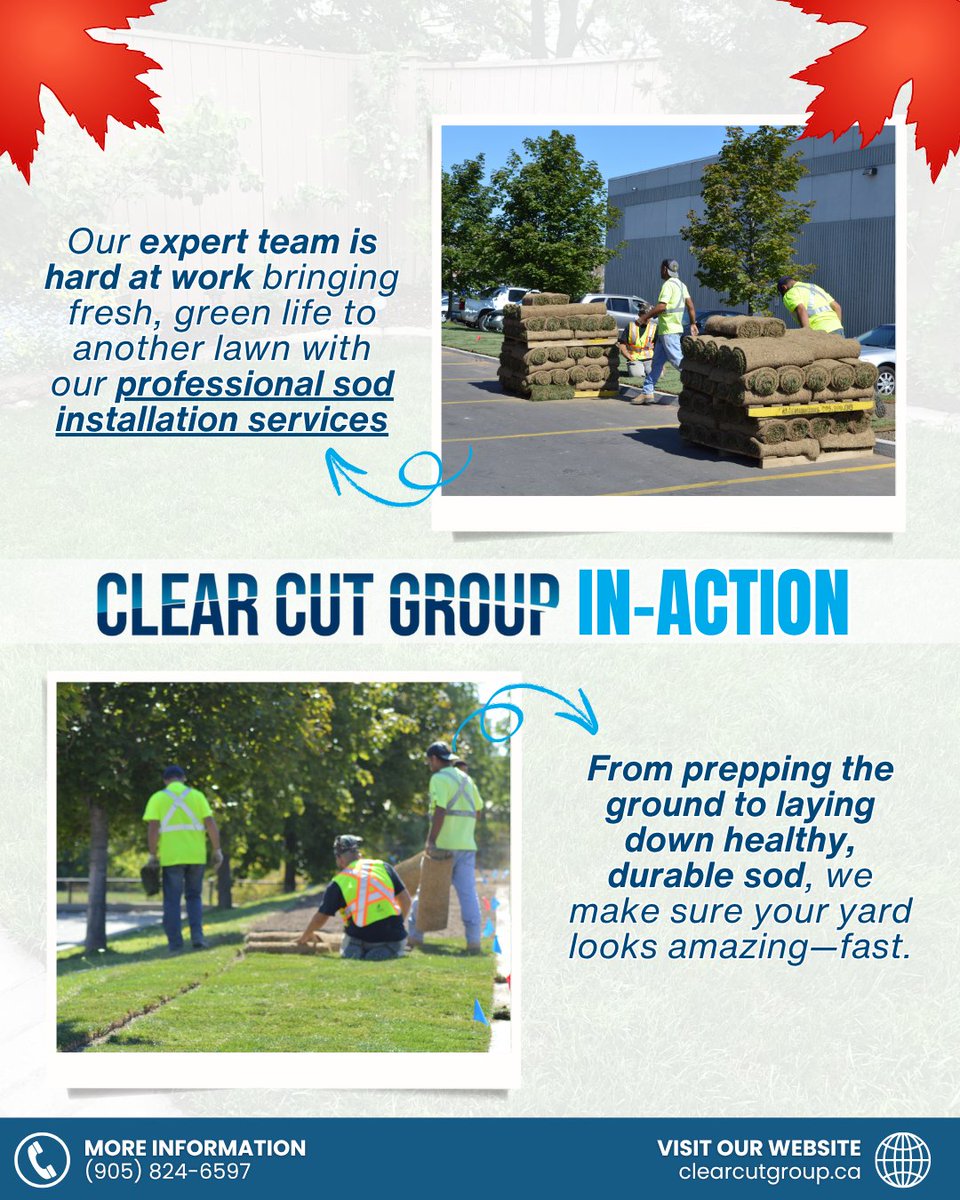 Clearcutgroup's tweet photo. Our expert team is hard at work bringing fresh, green life to another lawn with our professional sod installation services.
📞 Call Clear Cut Group today at (905) 824-6597 and get your lawn project started!

#SodInstallation #ClearCutGroup #Mississauga #Brampton #Etobicoke https://t.co/P9rkAovcC0