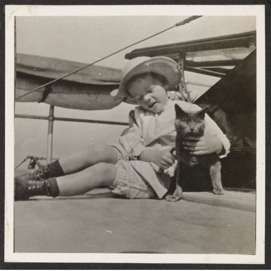 TRPresLibrary's tweet image. TR’s cat Slippers once napped in the White House hallway during a state dinner. Guests stepped over her in full tuxedo.

Celebrate #NationalTakeYourCatToWorkDay like a Roosevelt: bring the chaos—and the claws. 🐾🐱

#TRPL #WhiteHouseCats #TheodoreRoosevelt