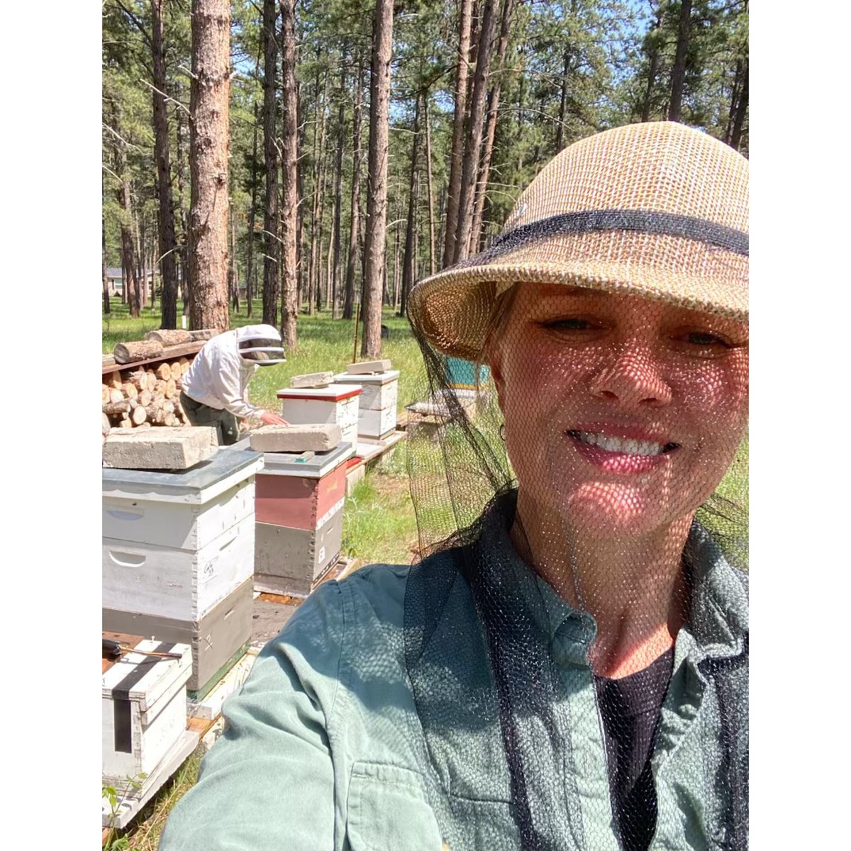 ProjectApism's tweet photo. ๐ Itโs #PollinatorWeekโcheck this out:
5/5 Hilo queens survived winter with almost no mites at @raytreefarms in South Dakota!
โ
100% survival
โ
Mite counts: 0, 0, 0, 0, 3
Selective breeding + habitat = hope for healthy bees.
#VarroaResistance #ProjectApisM #HiloBees https://t.co/gxw2gOgqlL