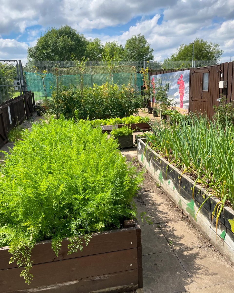‘There’s nothing beautiful to look at here. This garden will give people a sense of sanctuary, a place of reflection and a place where people can just enjoy some beautiful space. Those are rare things here.’ 

Read this church’s amazing ambition for a garden on a large housing