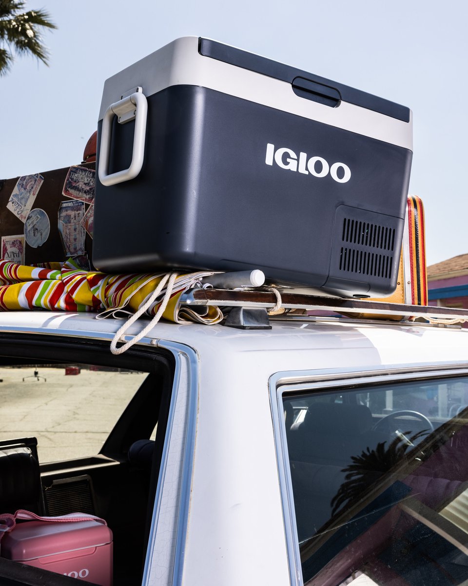 Igloo Coolers tweet media