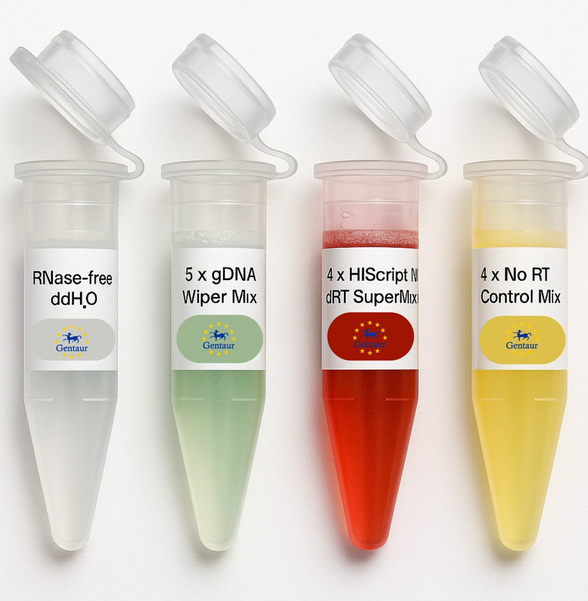 🚀 Zwiększ dokładność qPCR dzięki HiScript IV RT SuperMix (+gDNA Wiper)
#Gentaur