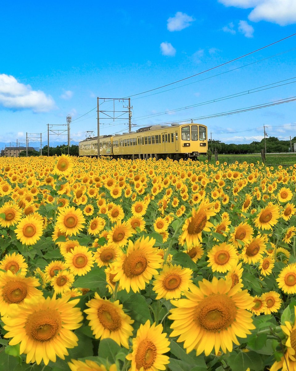 Keep Moving Forward — 💛🌻

𝘏𝘢𝘱𝘱𝘺 𝘞𝘦𝘦𝘬, 𝘌𝘷𝘦𝘳𝘺𝘰𝘯𝘦𓂃 𓈒ꕤ 

Higashiōmi, 
Shiga Prefecture, Japan.
📸© satomi24jp ~ IG