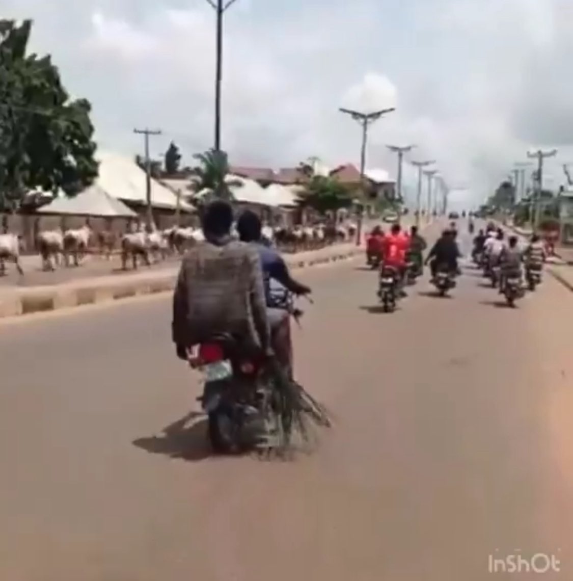 oxygist's tweet photo. Angry youths in Nyorhyungu, Benue State, this afternoon, are currently chasing Fulani herdsmen and their cows out of the community 🥴🧎

(Omojuwa Mark Carney State of Emergency Chief of Staff 2baba North East) https://t.co/qPXe8t8jHD