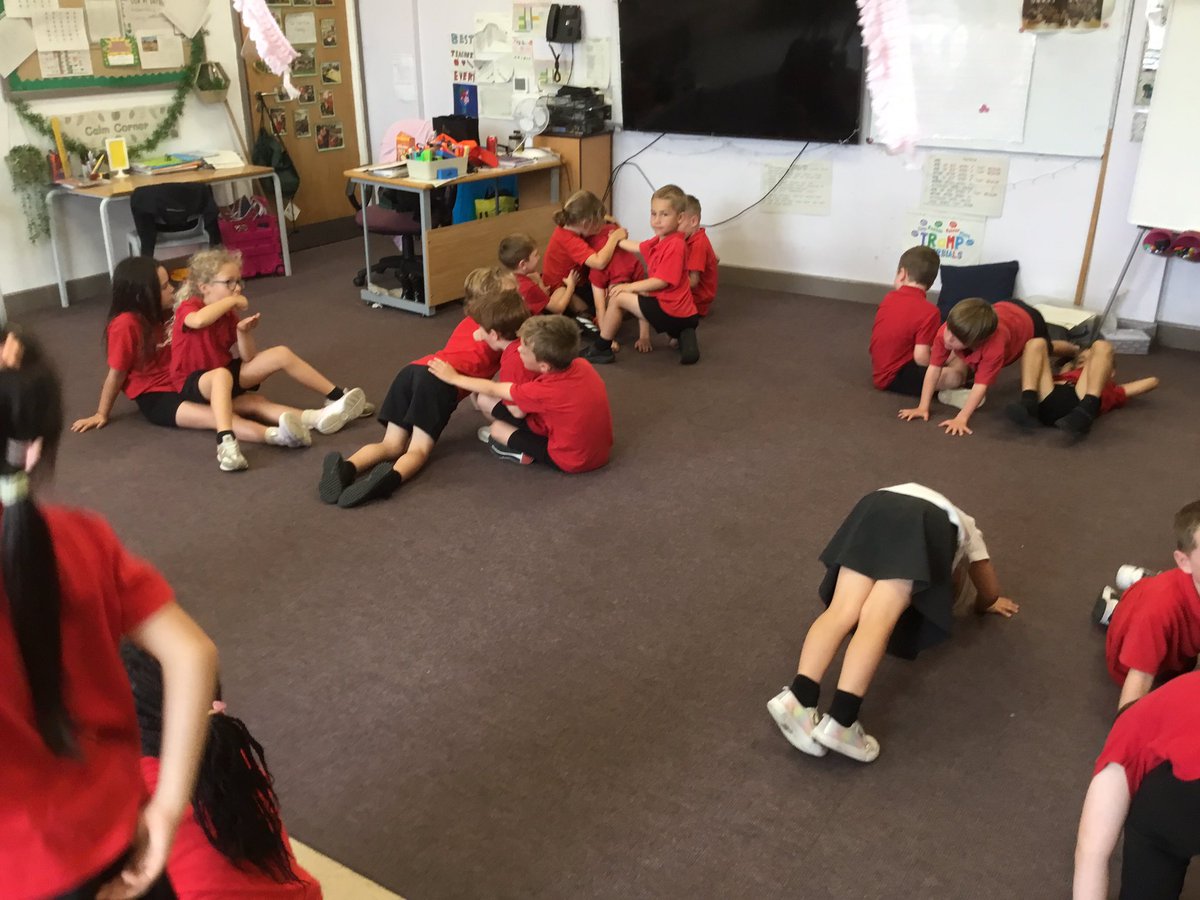 Year 1 SHPS tweet media