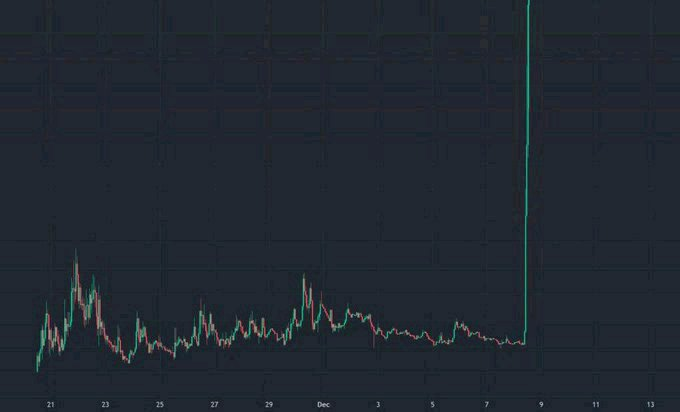 1000xgirl tweet media