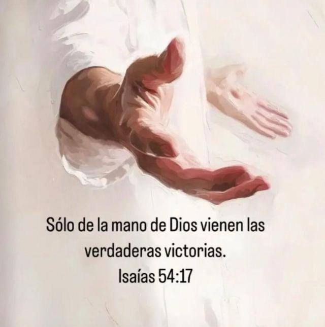 edithmo40731859's tweet photo. @adrimantres https://t.co/zAaZxH0mBi
