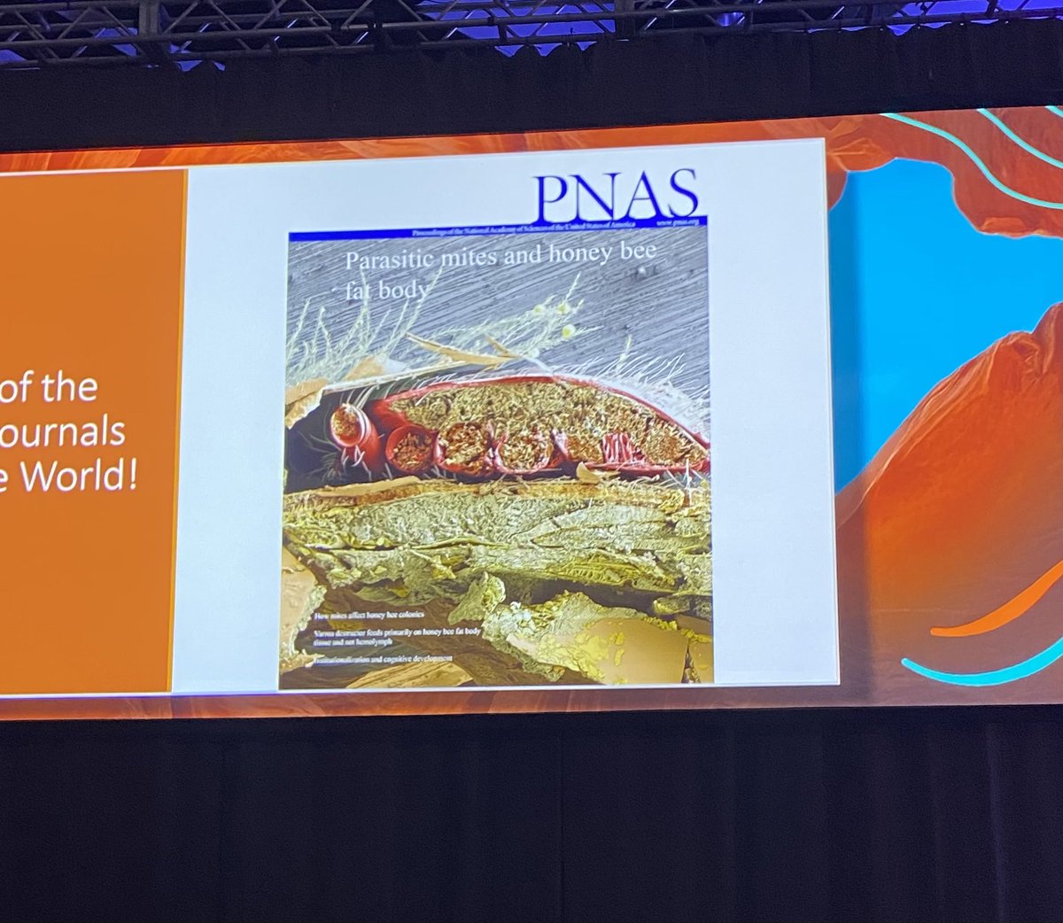 Barbara A. Smith tweet media