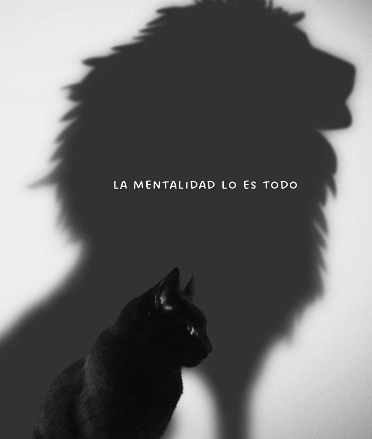 PropositoyVida's tweet photo. https://t.co/fkgedzkxc7