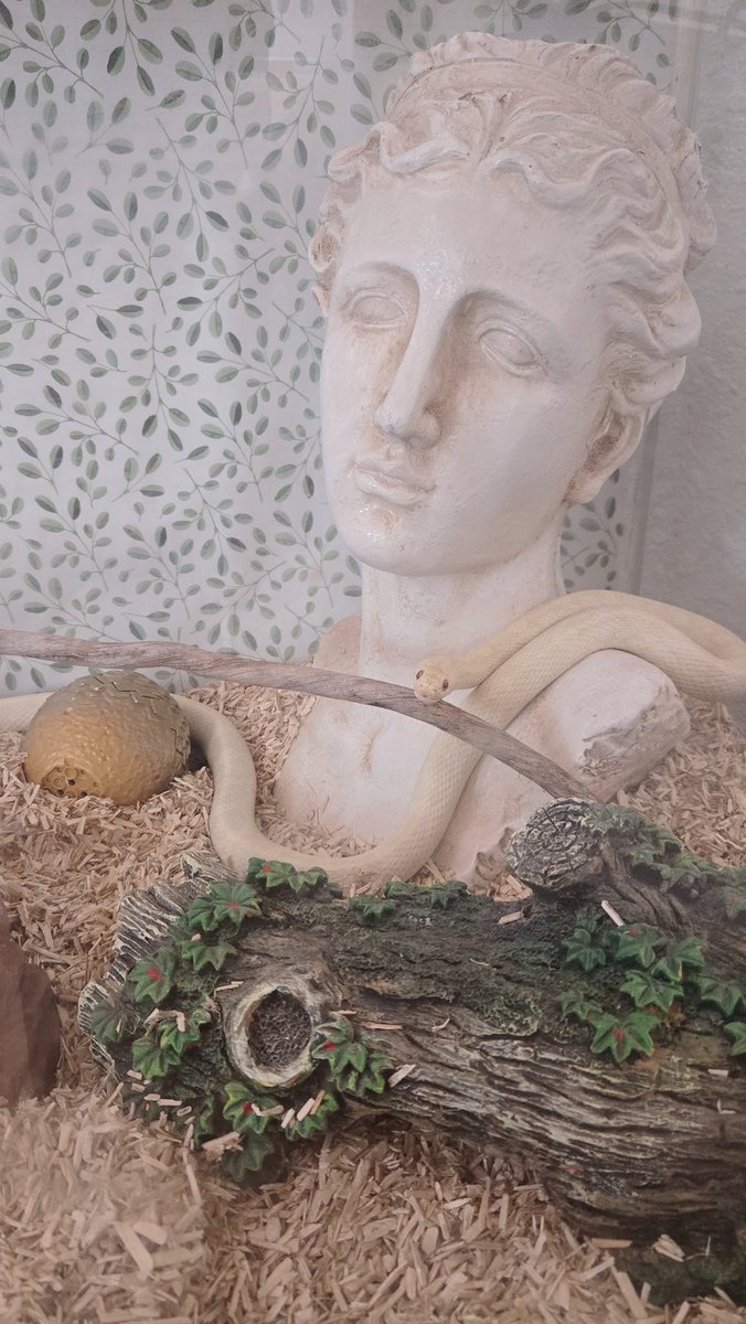 Glamerina Lune 🌙 Moon Princess tweet media