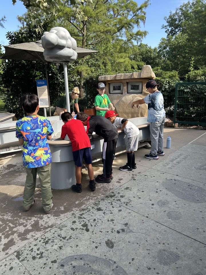 Beautiful morning at the Dallas Arboretum—full of exploration, discovery, and sunshine. Doesn’t get much better than this! 🌿☀️🌸 #ACEIgnite2025 #RISDbetheone <a href="/SaDye21/">Sarah Dye</a> @DesireeMay_9 <a href="/dallasarboretum/">Dallas Arboretum</a>
