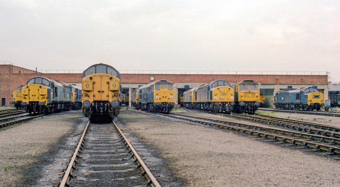 37077, 37193, 37008, 31274, 31129, 40018, 47368 &amp; 37163 at Thornaby MPD date unrecorded. #MixedBagMonday

📸 Andy Hoare