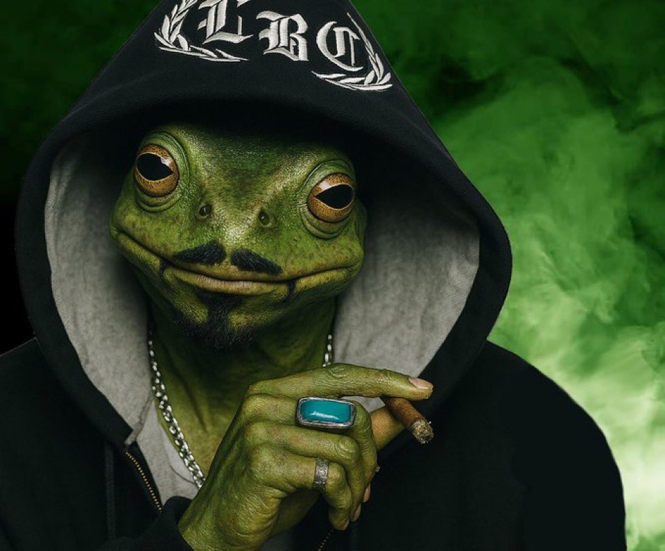 fartfrogcto's tweet photo. "Then I step through the fog and I creep through the smog 'Cause I'm Fart Froggy (Who?) Froggy (What?) Froggy Frogg" #fartfrog

7ARb8EE3jdQmE55djjYw89WGseFCS3jyjwAvvH5bpump https://t.co/ihKzharuMZ