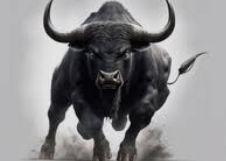 jamiller2x's tweet image. #XPX was born from the powerhouse duo #FEG & #SMARTDEFI — two game-changing platforms reshaping DeFi.
Led by @RicoMoneyBags, XPX already delivers live real-world utility, while @lifeisdefi is pushing #FEG tech years ahead of its time.
🔹 Unlimited Virtual Card
🔹 $150K XPX Gold…