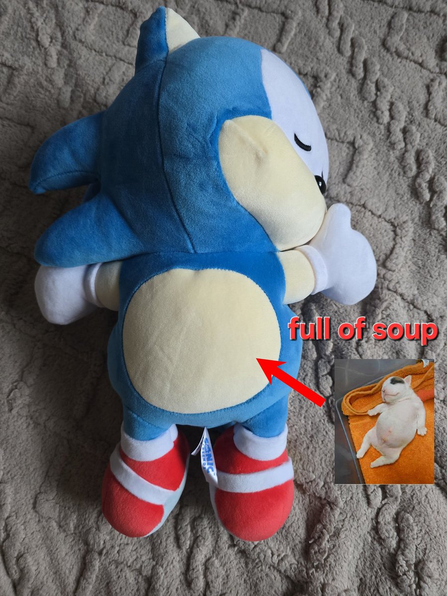 I just adore this Sonic plush so fckng much...
He's so fat, so plump. Perfect shape