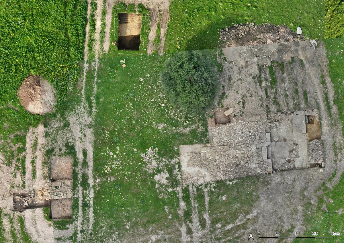 Archeo - Attualità del passato tweet media