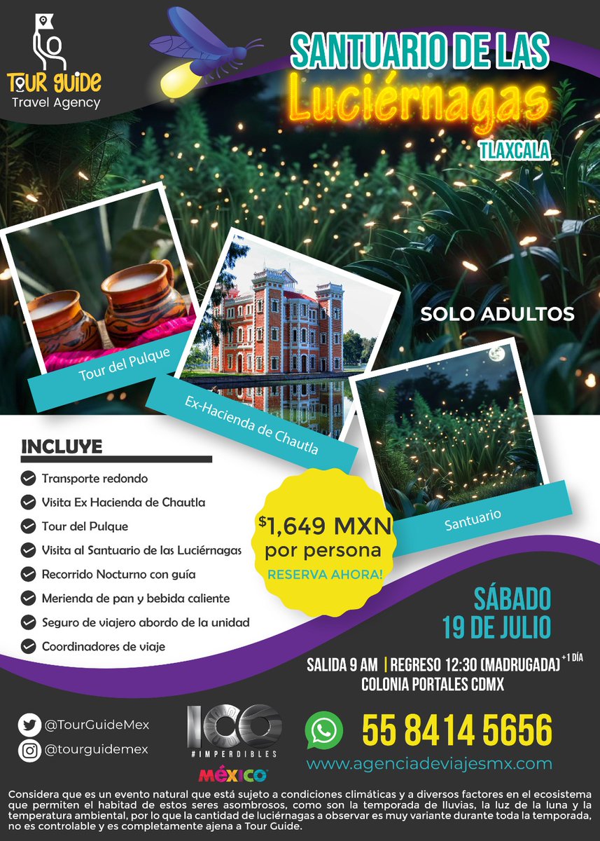 TourGuideMex's tweet photo. Te invitamos a reservar a este tour visitando el Santuario de las Luciérnagas. Reserva tu lugar con $300. 
WhatsApp 55 84 14 56 56. https://t.co/iA0hrksW5F