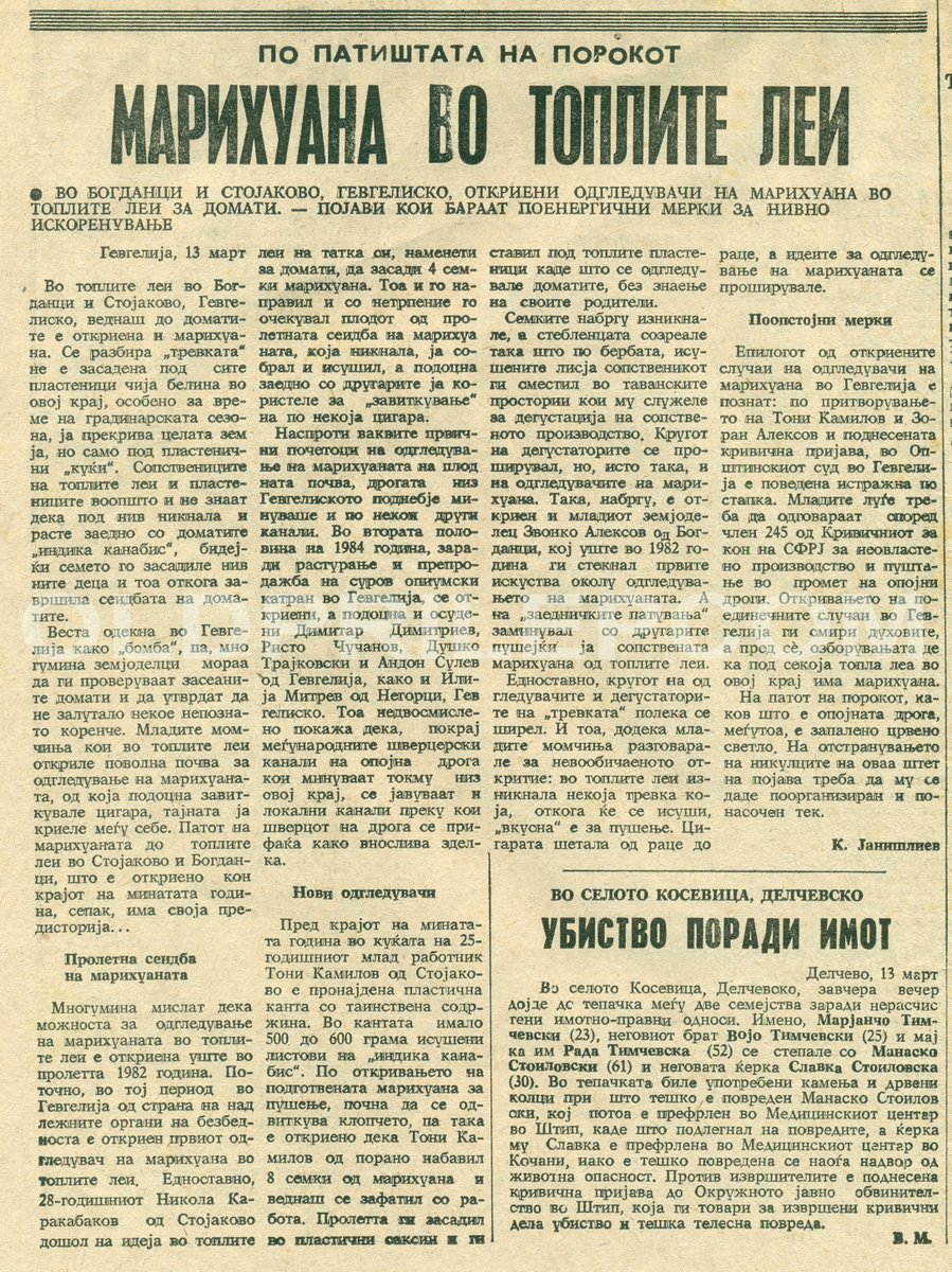 1985 година
„Марихуана во топлите леи“
#weed #canabis #Macedonia #Bogdanci #Stojakovo #Gevgelija #Марихуана #Македонија #Богданци #Стојаково #Гевгелија
