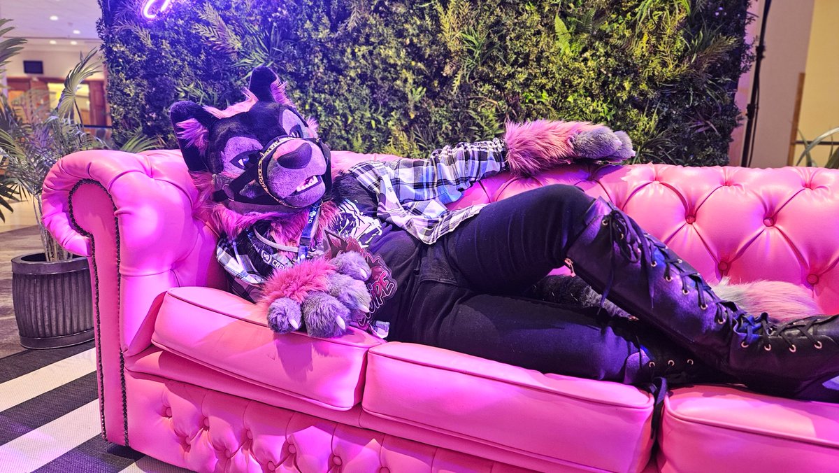 Some choice pics from #cfz2025 as I learn how to use a sofa! 

Some wonderful pics done by <a href="/A_Bin_Chicken/">Aries Gryphon</a> while she spent hours teaching me to sit :P