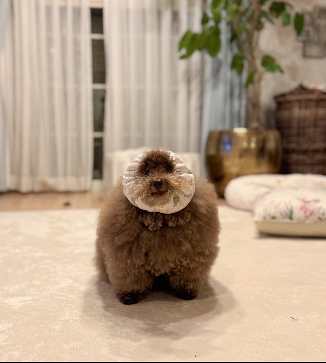 How is $MOHU this adorable all the time? ☺️