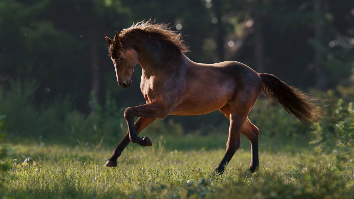 CgSuperb's tweet photo. Brown Horse Animation | Brown horse Blender 3D Model
👉 https://t.co/tMSdEsRAE1

#vfxgrace #vfx #animals #animation #rig #blender #maya #model #textures #plants #3D #character #realistic #arnold #Cycles https://t.co/0NhnavSOtI
