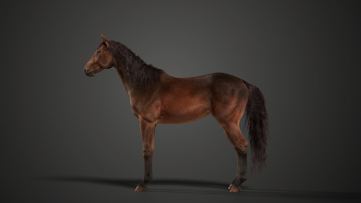 CgSuperb's tweet photo. Brown Horse Animation | Brown horse Blender 3D Model
👉 https://t.co/tMSdEsRAE1

#vfxgrace #vfx #animals #animation #rig #blender #maya #model #textures #plants #3D #character #realistic #arnold #Cycles https://t.co/0NhnavSOtI