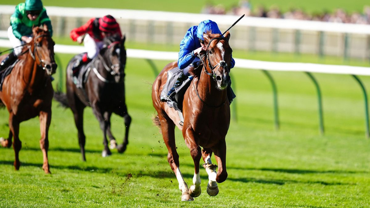 woodybets24's tweet photo. 💰FREE BET GIVEAWAY! 💰

We’re giving away a £50 Free Bet to use on the Commonwealth Cup on Friday at Royal Ascot!

To Enter:

1. Like 
2. Retweet 
3. Follow @_WolfTips 

The winner will be announced on Thursday evening. Good luck all!