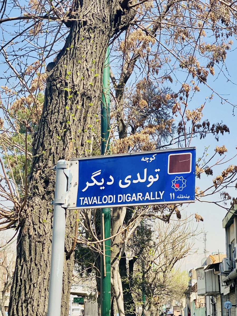 amirhuseyns's tweet photo. سبز میشی دوباره، تهران قشنگم. https://t.co/uFSTaJZXVu