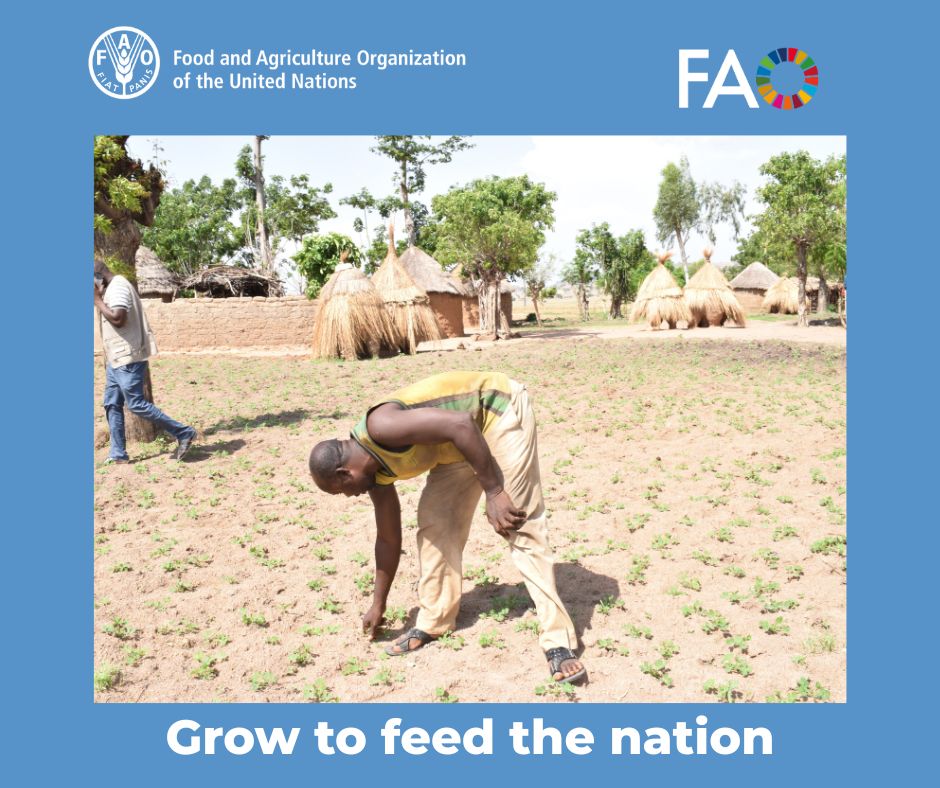 FAONigeria's tweet image. 🌧️🌱Have you planted for the rainy season?
If not, today’s the perfect day to sow a seed for Nigeria’s future.
Every seed in the soil is a step toward a food-secure🇳🇬
Don’t just watch
Don't wait
Grow food, grow hope.
Be the farmer, the food producer, the productive Nigerian.🌾