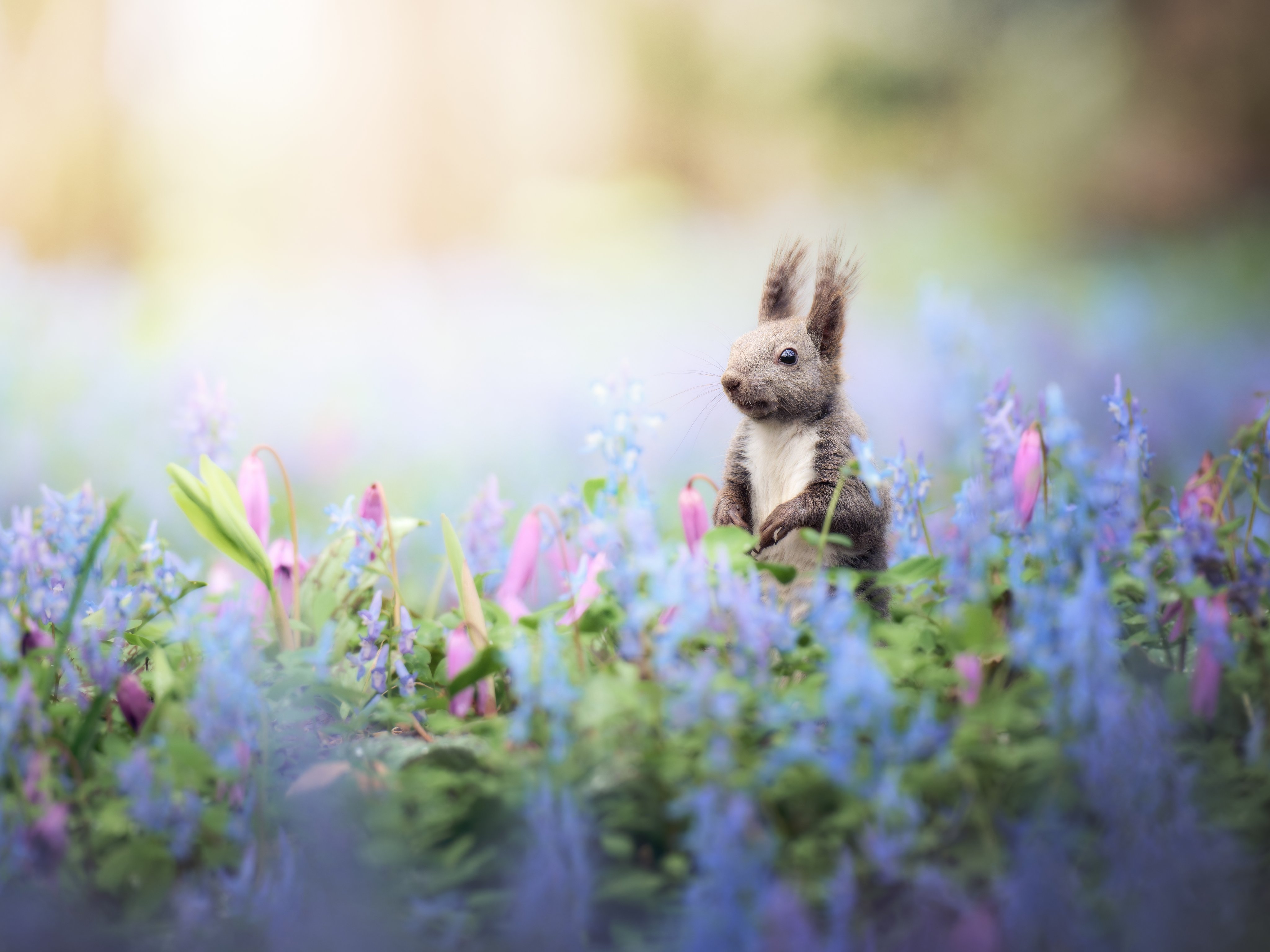 ぺんぺん@プロフィールご覧ください　さま専用 ドローン先生のプロフィール帳📝 3年P組の授業はもう見てくれ