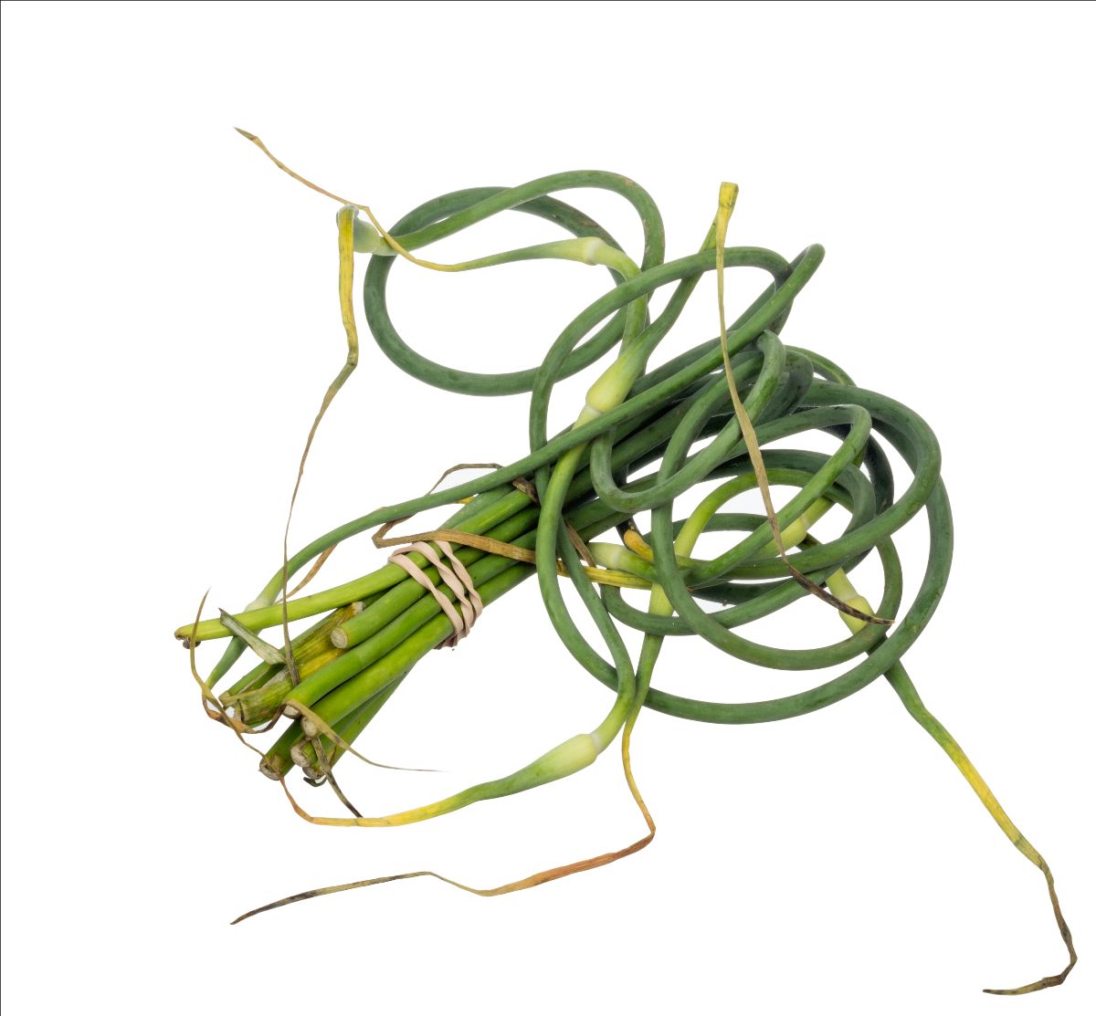 Garlic Scapes available for a short time from Crop2Shop Farmers! - Crop2.Shop