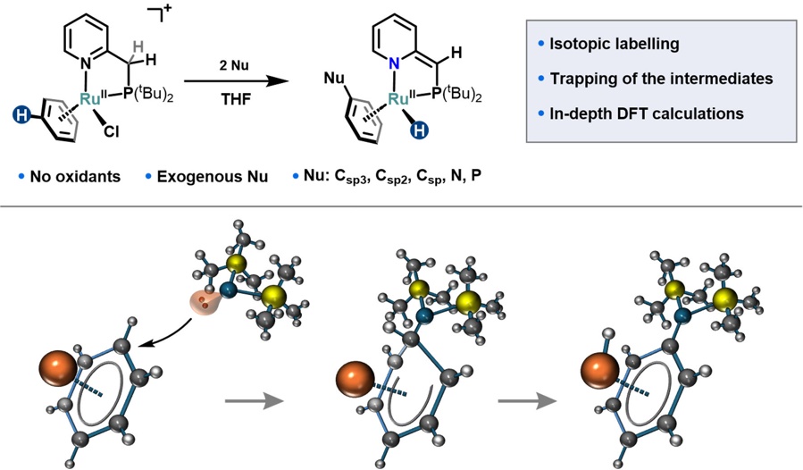 Daniel Broere (@broeredaniel) on Twitter photo Very happy to (finally) see this one out too, previously on <a href="/ChemRxiv/">ChemRxiv</a>, now in <a href="/ChemicalScience/">Chemical Science</a>!
Awesome reactivity discovered by <a href="/StasChem/">Stanislav Melnikov</a> and uncovered in collab. with <a href="/baikkaist/">Baik Group</a> :
Ru-Mediated Nucleophilic Aromatic Substitution of Hydrogen in Benzene pubs.rsc.org/en/content/art… Very happy to (finally) see this one out too, previously on <a href="/ChemRxiv/">ChemRxiv</a>, now in <a href="/ChemicalScience/">Chemical Science</a>!
Awesome reactivity discovered by <a href="/StasChem/">Stanislav Melnikov</a> and uncovered in collab. with <a href="/baikkaist/">Baik Group</a> :
Ru-Mediated Nucleophilic Aromatic Substitution of Hydrogen in Benzene pubs.rsc.org/en/content/art…